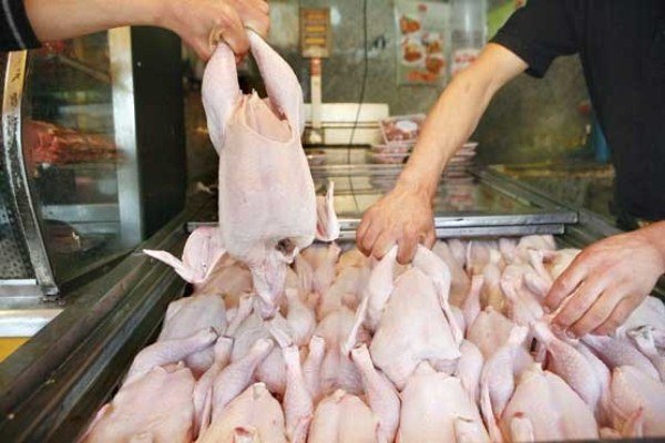 روزانه ۳۰ تن مرغ گرم در بروجرد توزیع می‌شود