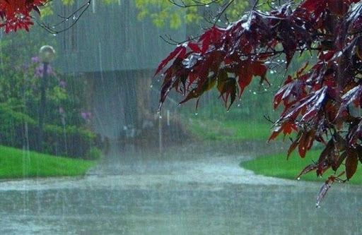 دلفان رکورد دار بیشترین بارش در لرستان با ۳۱.۳ میلی متر