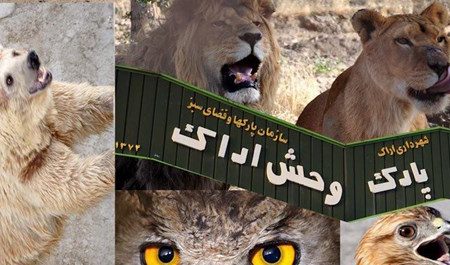 نگهبان باغ وحش اراک، توسط شیرها کشته شد