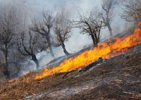 ۱۰۰ هکتار از مراتع منطقه «سفیدکوه» ازنا در آتش سوخت