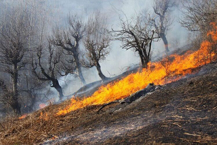 ۱۰۰ هکتار از مراتع منطقه «سفیدکوه» ازنا در آتش سوخت